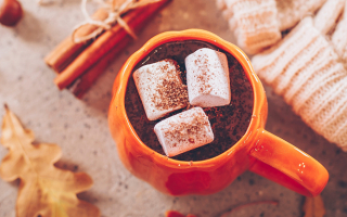 Les délices du chocolat chaud par Daniel Stoffel